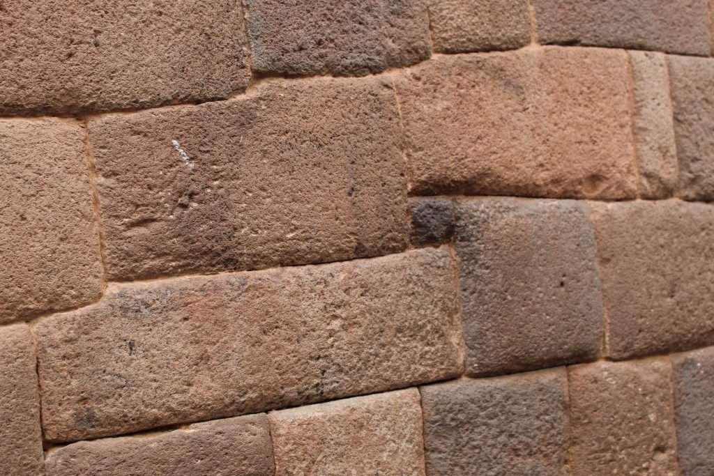 Head of the snake in the temple