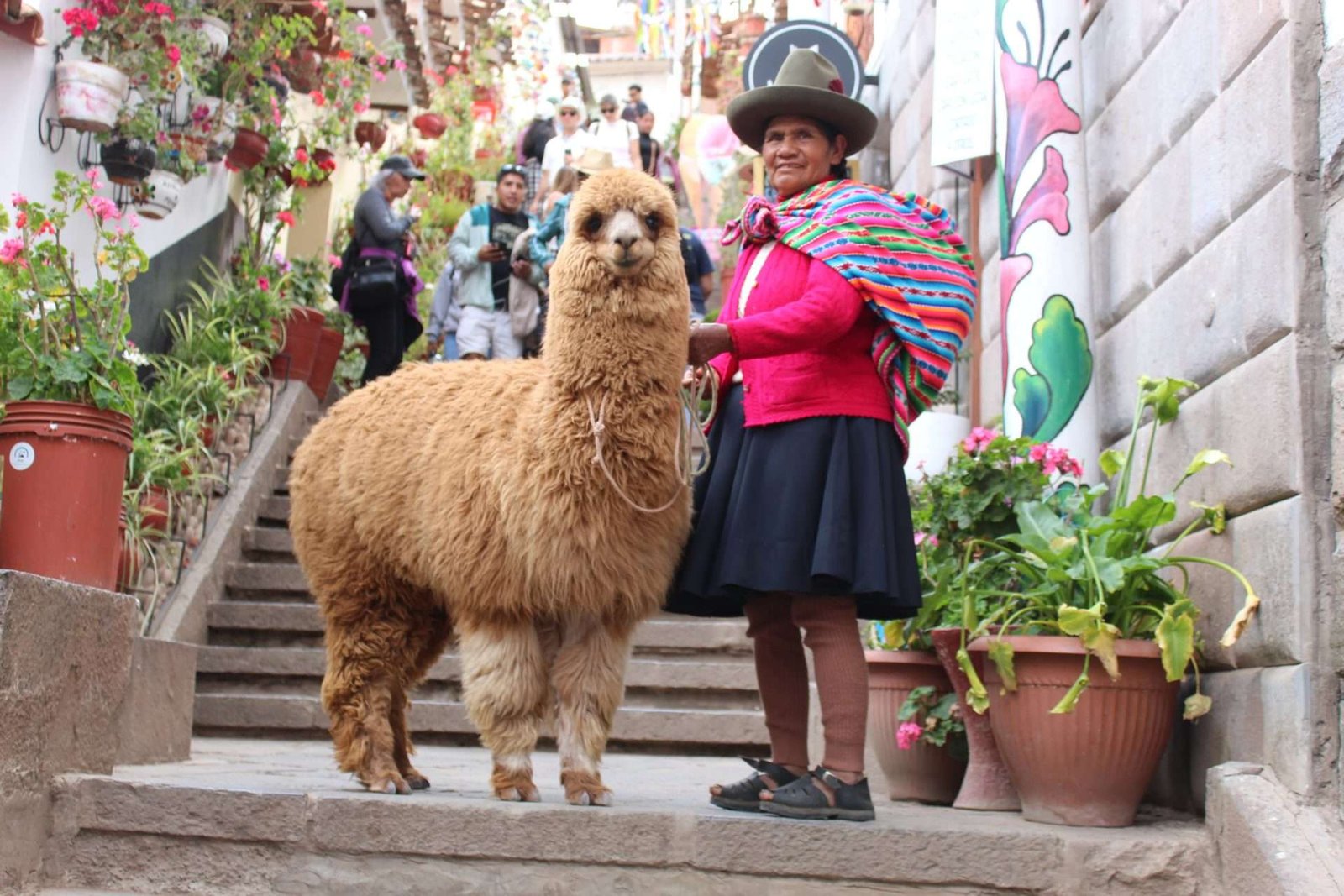 Local lady with an alpaca