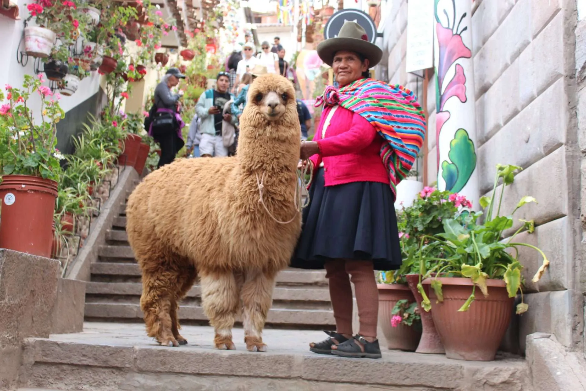 Local lady with an alpaca
