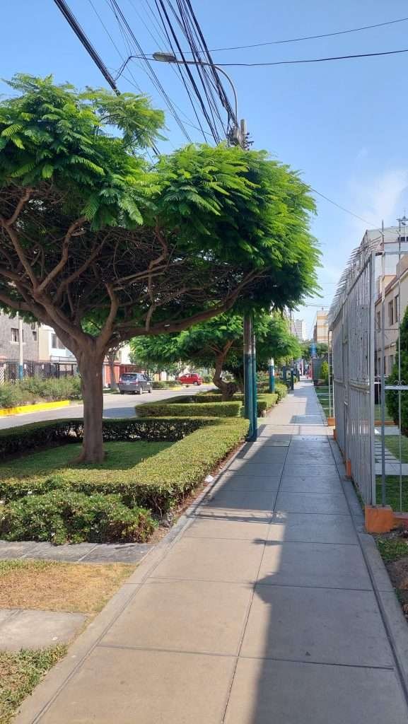 Calm street in Pueblo Libre